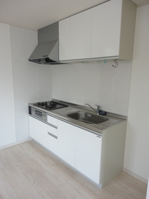 Kitchen. System kitchen! It is an economical city gas! 