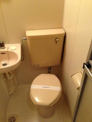 Toilet. Western-style flush toilet