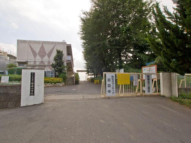 Primary school. 1100m until the Saitama Municipal Sashiogi Elementary School