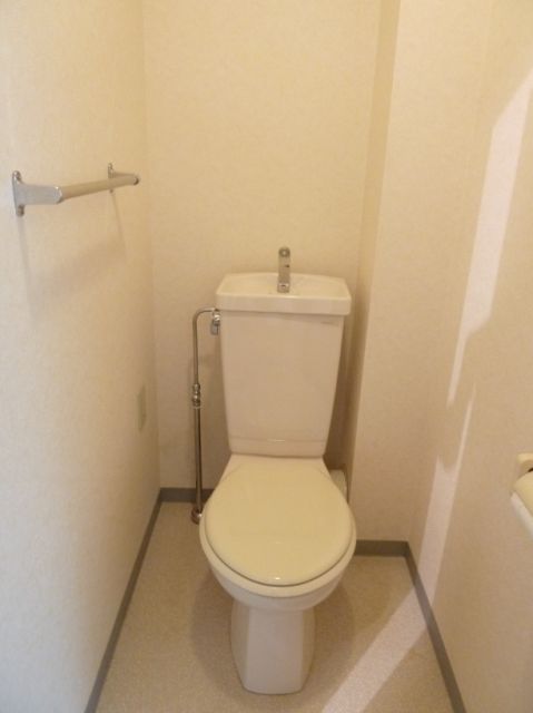 Toilet. It is the toilet of a wide space.