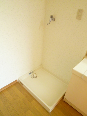 Washroom. Laundry Area