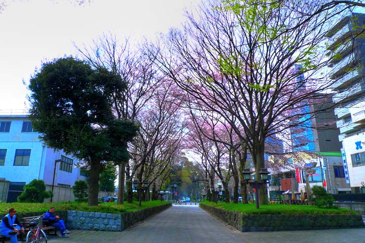 park. Hikawa 207m to green space (park)