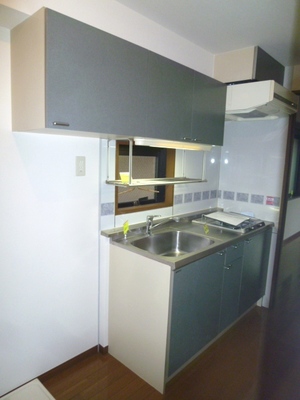 Kitchen. Gas stove 2-neck