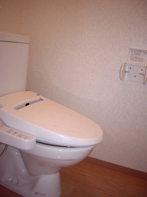 Toilet. With warm water washing toilet seat