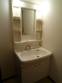 Washroom. Bathroom Vanity