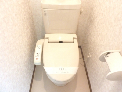 Toilet. Popular warm water washing toilet seat