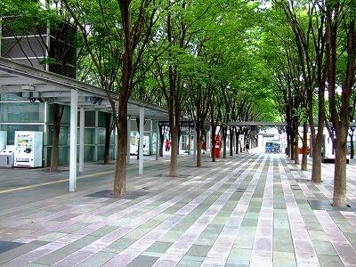 Other. 630m to Keyaki Square Lined with the second floor of the wood zelkova of Saitama Prefecture on the artificial ground that leads to the station adjacent to the Saitama Super Arena, Create a new nature of space.  Illumination can be enjoyed until February 14 next year.