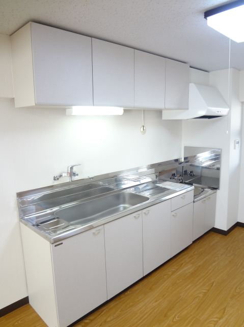 Kitchen. Two-burner stove can be installed. Wide sink