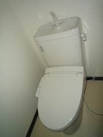Toilet. Warm water cleaning toilet seat with toilet.
