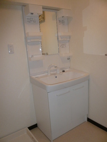 Washroom. Vanity newly established!