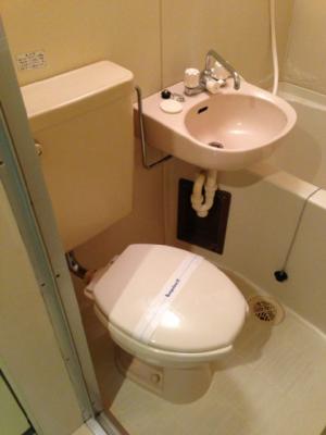 Toilet. Western-style flush toilet