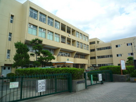 Primary school. Kamico up to elementary school (elementary school) 90m