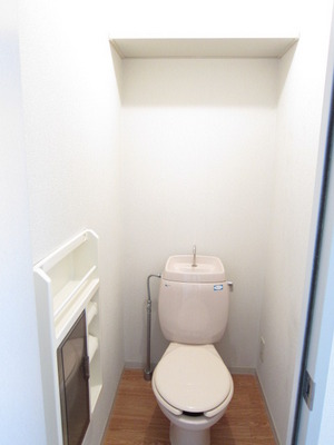 Toilet. It is with storage that can hold small items