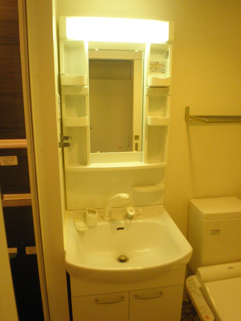 Washroom. It is a useful shampoo dresser