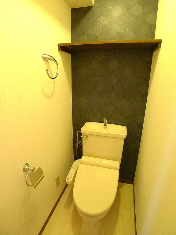 Toilet. Picture was the last renovation