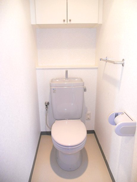 Toilet. Toilet convenient storage is attached