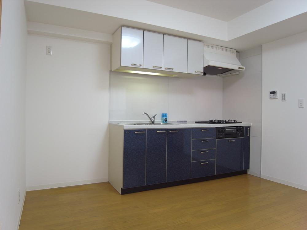 Kitchen. Indoor (10 May 2013) Shooting