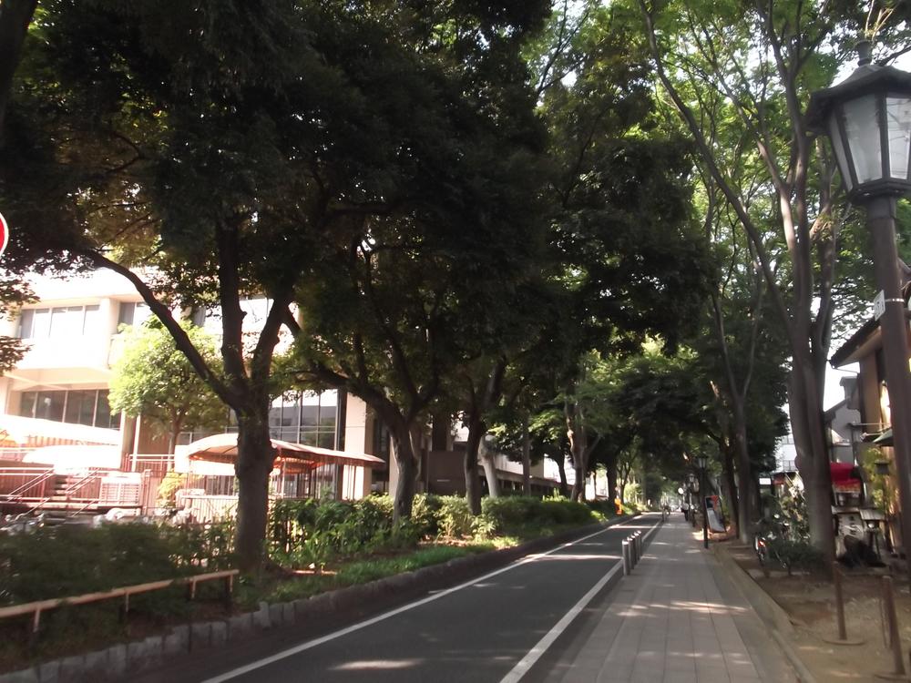 Streets around. Hikawa to approach 90m