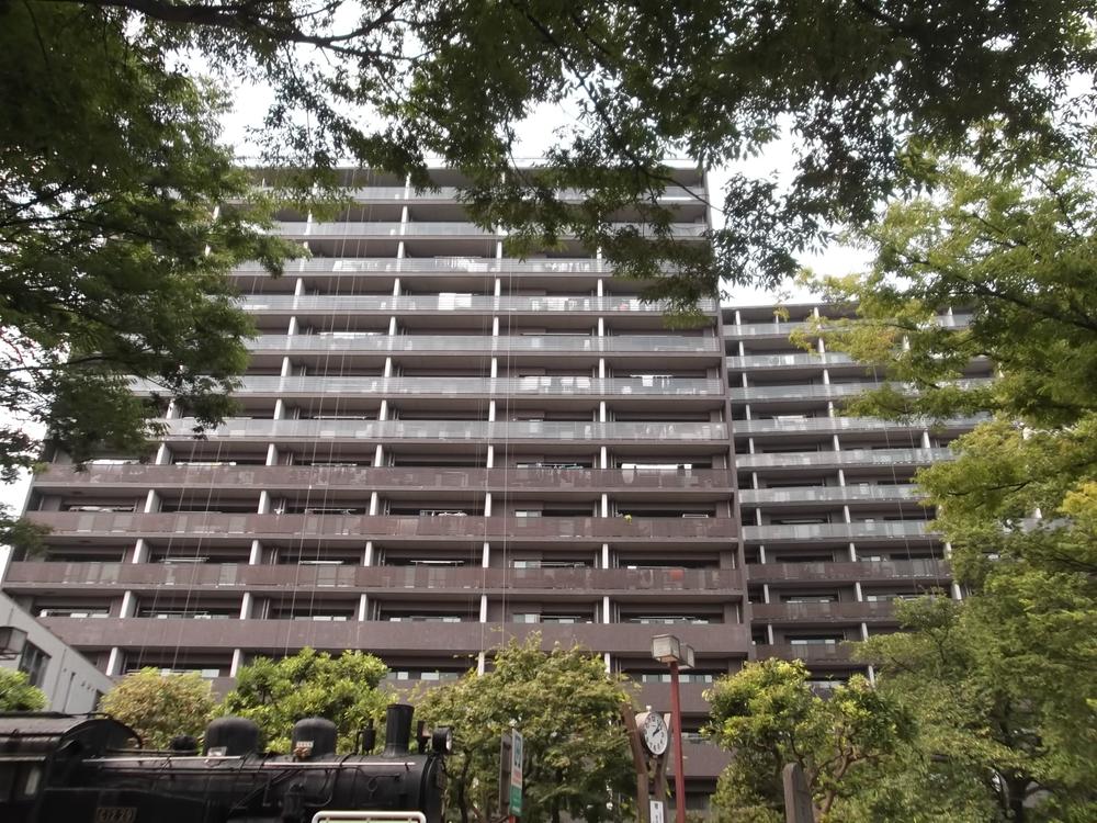 Local appearance photo. Local (August 2013) Shooting