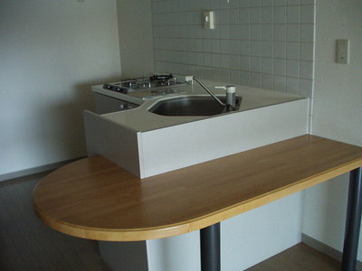 Kitchen. L-shaped counter kitchen