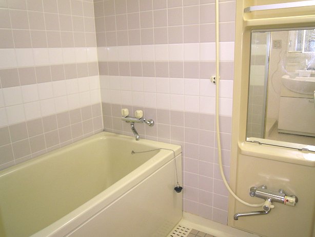 Bath. Convenient bath with additional heating function