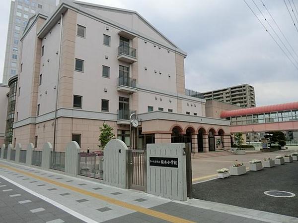 Primary school. Municipal Sakuragi to elementary school 510m
