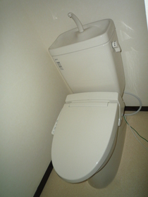 Toilet. Toilet with cleanliness. New hot water washing toilet seat