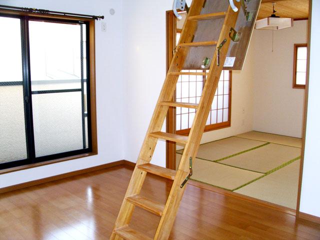 Other introspection. Ladder to go up to the attic storage
