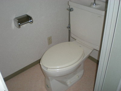 Toilet. Indoor reference photograph (No. 207 room)