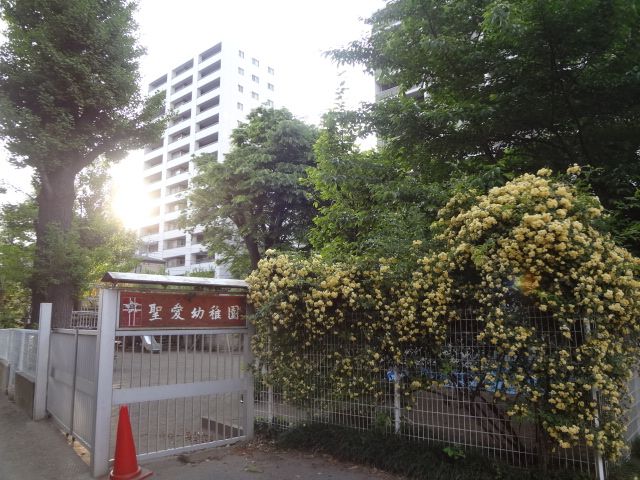Primary school. 1400m until the Municipal Taisei elementary school (elementary school)