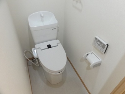 Toilet. With warm water washing toilet seat! 