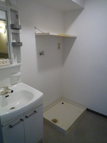 Washroom. With vanity