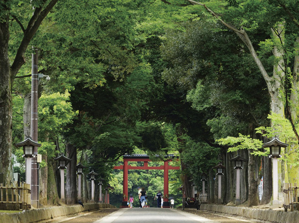 Surrounding environment. Hikawa Shrine Second torii (about 700m / A 9-minute walk)