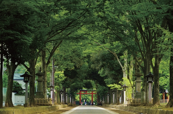 Hikawa Shrine second torii (about 700m)