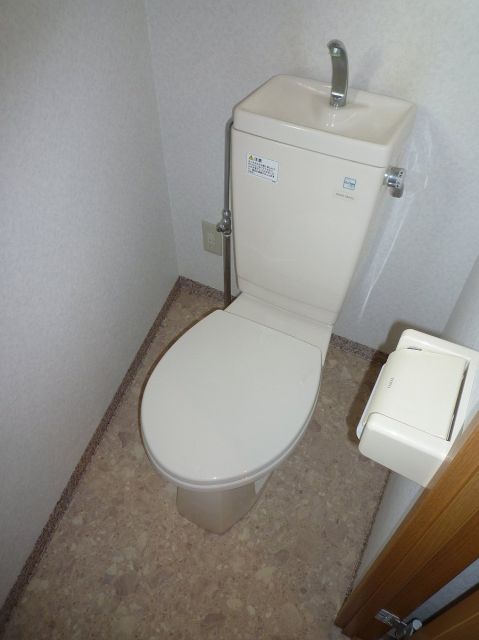 Toilet. Toilet with cleanliness