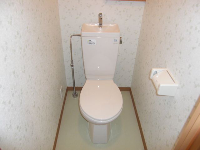 Toilet. Depth is also there with the comfort toilet! 