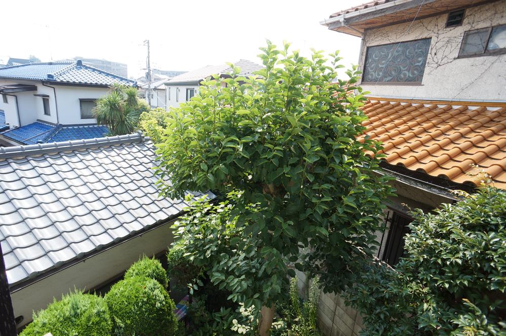 View photos from the dwelling unit. View from the site (August 2013) Shooting
