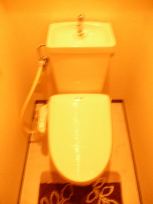 Toilet.  ※ 103, Room model Room held at the reference photo