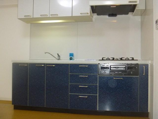 Kitchen. Indoor (11 May 2013) Shooting