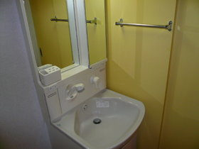 Washroom. With shampoo dresser