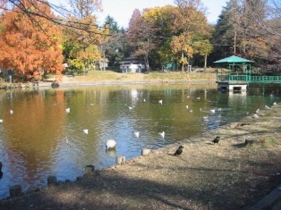 park. 600m to Omiya Park (park)