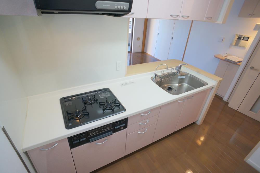 Kitchen. Indoor (12 May 2013) Shooting