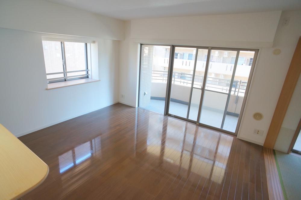 Living. Indoor (12 May 2013) Shooting