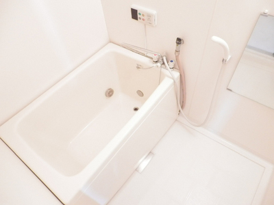 Bath.  ※ 301, Room interior reference photograph A clean bathroom