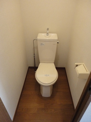 Toilet. Toilet