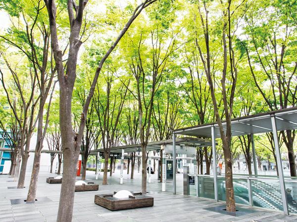Surrounding environment. The old Nakasendo which runs from north to south, Succession is "Zelkova trees" that have been selected to be one of the Omiya twenty Jing, It has been popular as a space of rest. (Zelkova Square / About 900m)