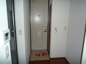 Entrance. Washing machine is put in a room. 