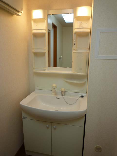 Washroom. Shampoo dresser