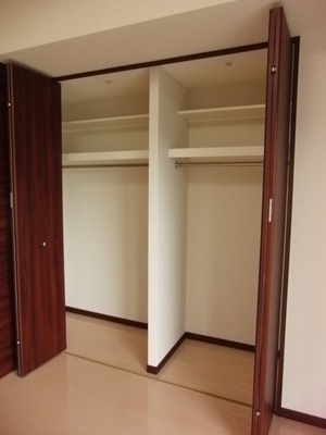 Living and room. closet