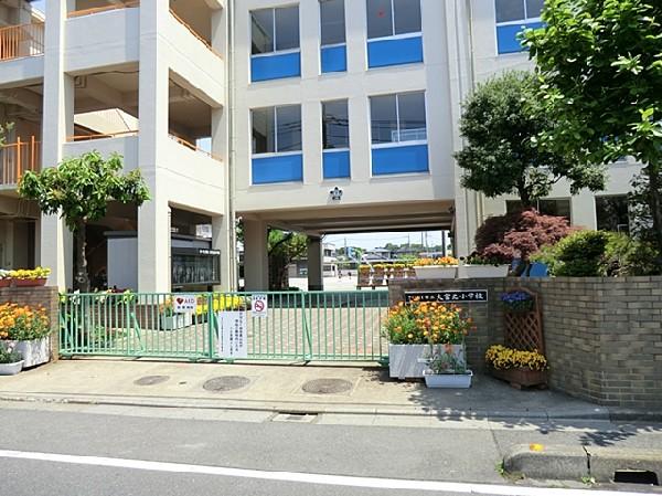 Primary school. Saitama Municipal Omiya Kamikita 300m to